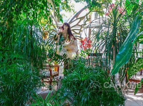 Санаторий Родник 3* Пятигорск - 27