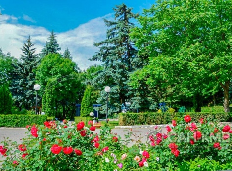 Санаторий «им. С.М. Кирова» 3* Пятигорск - 22