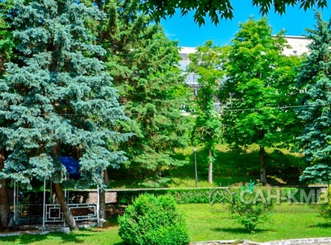 Санаторий «им. С.М. Кирова» 3* Пятигорск - 10