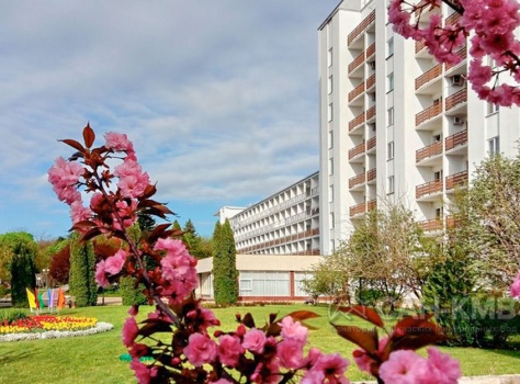 Санаторий Москва 4* Ессентуки - 21