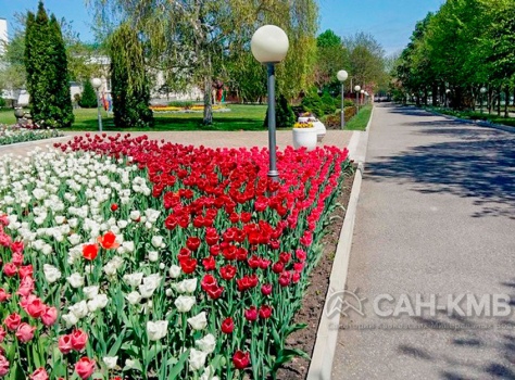 Санаторий Москва 4* Ессентуки - 22