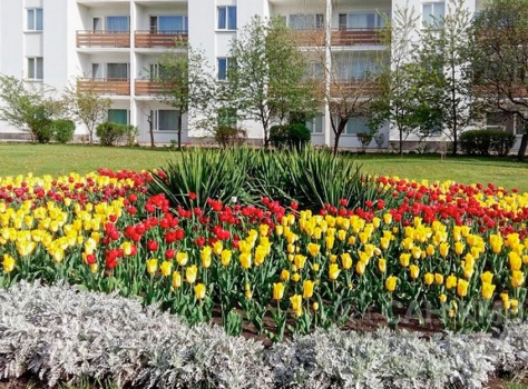 Санаторий Москва 4* Ессентуки - 25