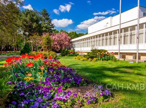 Санаторий Москва 4* Ессентуки - 35