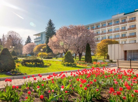 Санаторий Москва 4* Ессентуки - 38