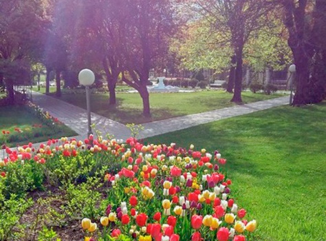 Санаторий Москва 4* Ессентуки - 41