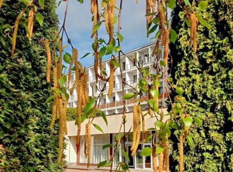 Санаторий Москва 4* Ессентуки - 43