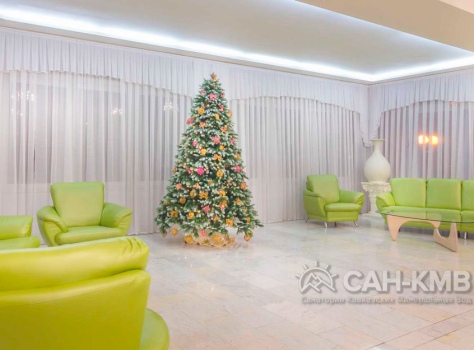 Санаторий Москва 4* Ессентуки - 53