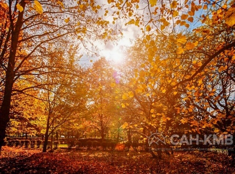 Санаторий «Машук» 2* Пятигорск - 22