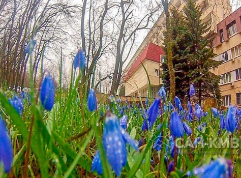 Санаторий «Машук» 2* Пятигорск - 4