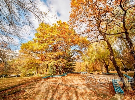 Санаторий «Машук» 2* Пятигорск - 5