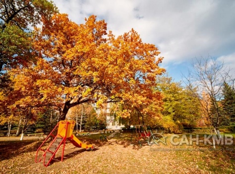 Санаторий «Машук» 2* Пятигорск - 6