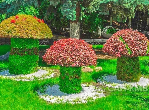 Санаторий «Зори Ставрополья» 3* Пятигорск - 14