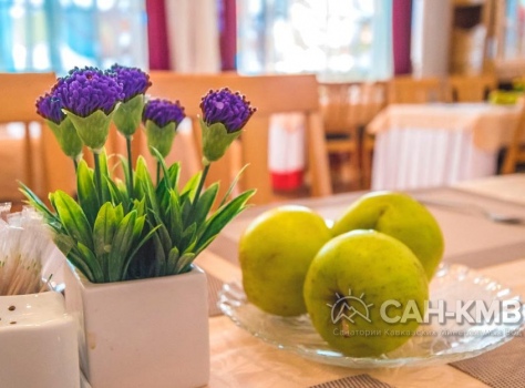 Санаторий «Зори Ставрополья» 3* Пятигорск - 65