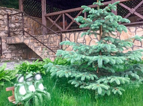 Медицинский центр «Княжна Мери» —* Железноводск - 18