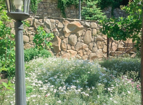 Медицинский центр «Княжна Мери» —* Железноводск - 19