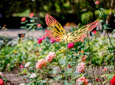 Санаторий «Эльбрус» 2* Железноводск - 18