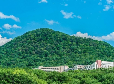 Санаторий «Дубрава» 2* Железноводск - 18