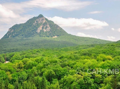 Санаторий «Дубрава» 2* Железноводск - 19