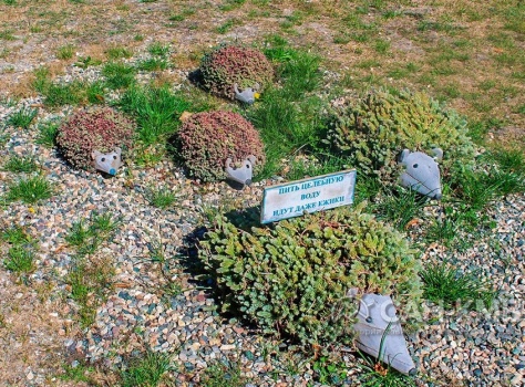 Санаторий «Дубрава» 2* Железноводск - 31