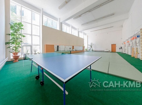 Санаторий «Дубрава» 2* Железноводск - 49