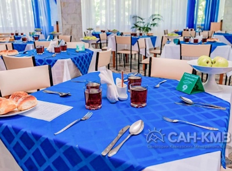 Санаторий «Дубрава» 2* Железноводск - 54