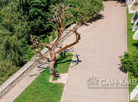 Санаторий «Горный воздух» 3* Железноводск - 10