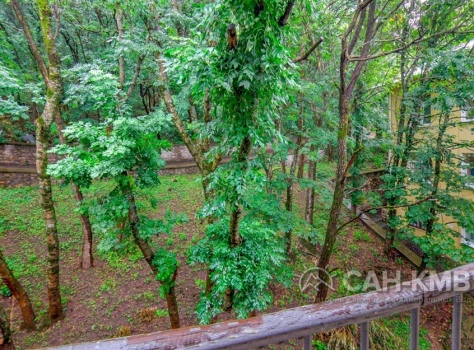 Санаторий «им. С.М. Кирова» 3* Железноводск - 66