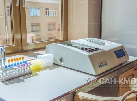 Санаторий Источник 4* Ессентуки - 102