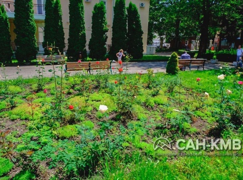 Санаторий «Шахтер» 3* Ессентуки - 19