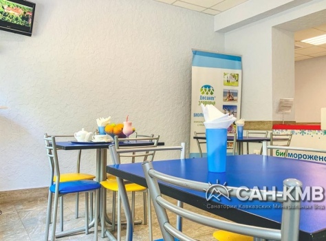 Санаторий «Шахтер» 3* Ессентуки - 55