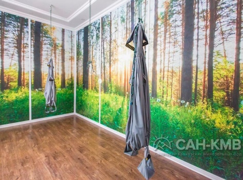 Санаторий «Исток» 5* Ессентуки - 23