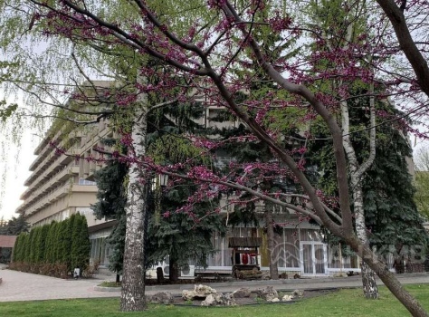 Санаторий «Дон» * Ессентуки - 18