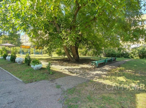 Санаторий «Семицветик» * Кисловодск - 19