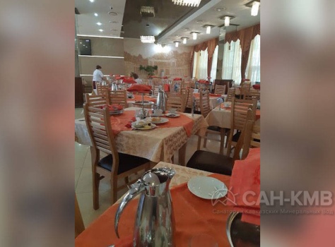 Санаторий «Электроника» ФТС России * Кисловодск - 101