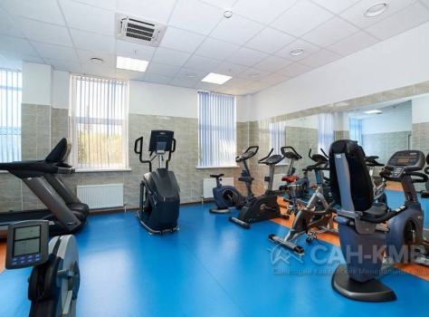 Санаторий «Электроника» ФТС России * Кисловодск - 84