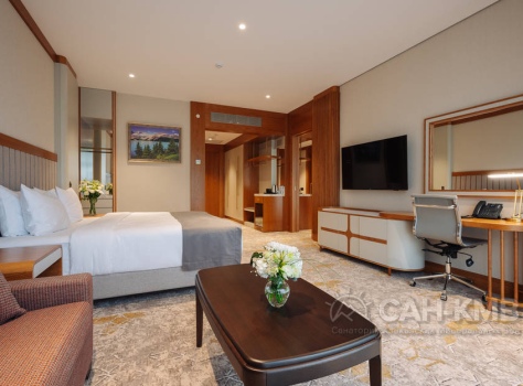 Санаторий «Источник» 5* Кисловодск - 87