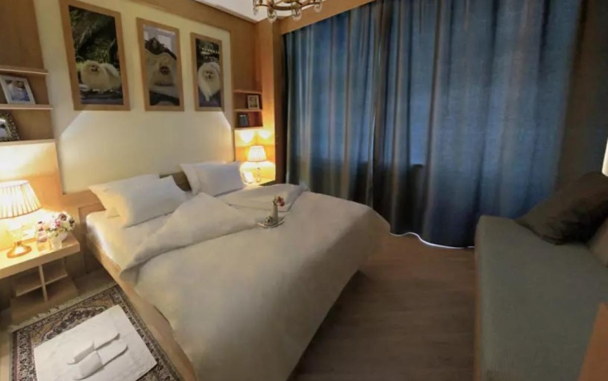 Делюкс ДеЛюкс 1-комнатный с балконом *  - 1