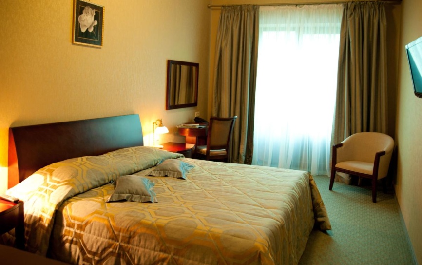 Стандарт 1-комнатный Дабл *  - 1