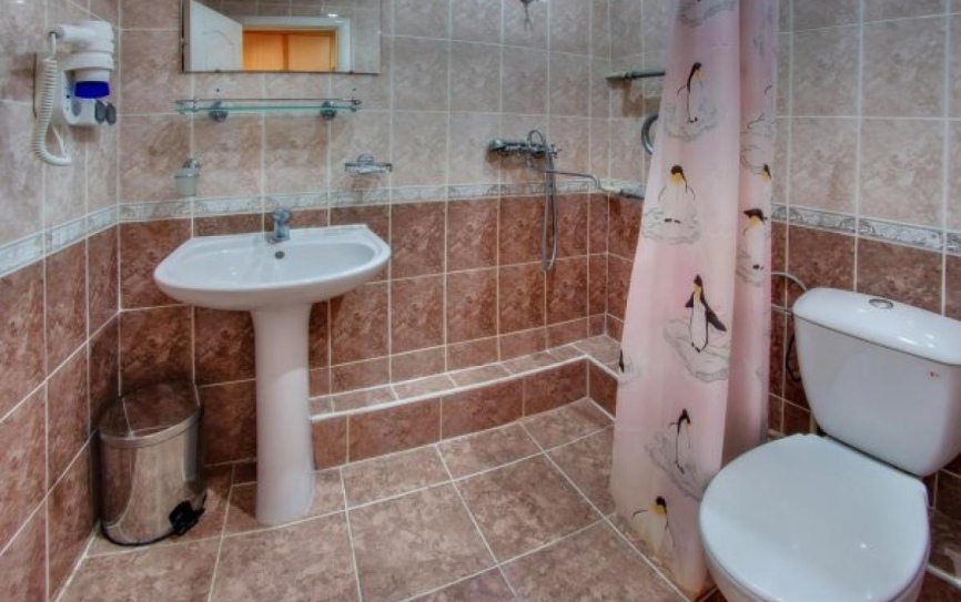 1 категория 2-местный   номер 1 категории *  - 3