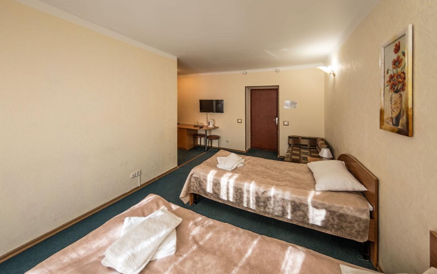 Стандартный 2-местный 1-комнатный Твин *  - 2