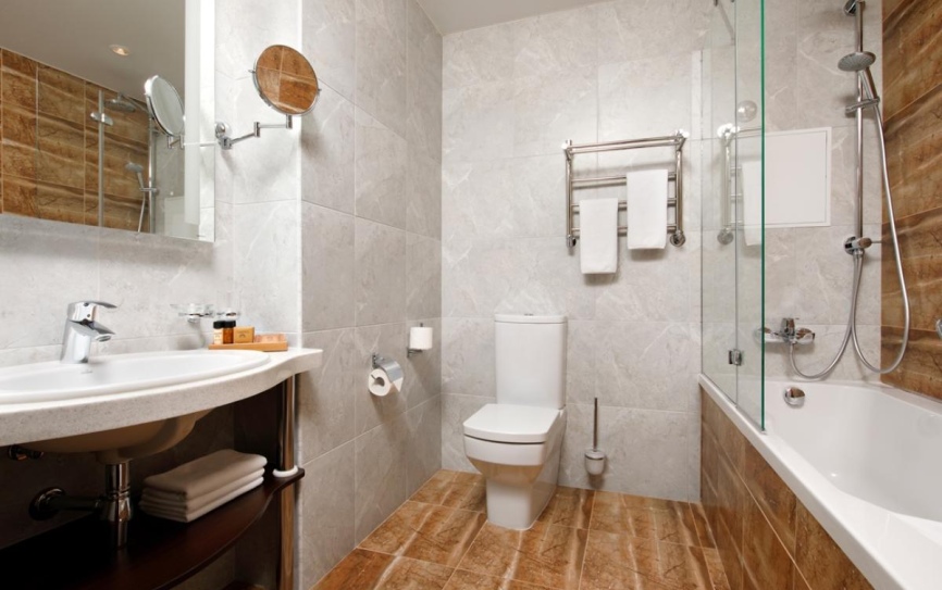 Люкс люкс 2-местный 2-комнатный *  - 3