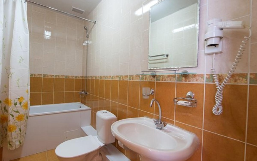 Стандартный 1 место в 2-местном номере с подселением *  - 3