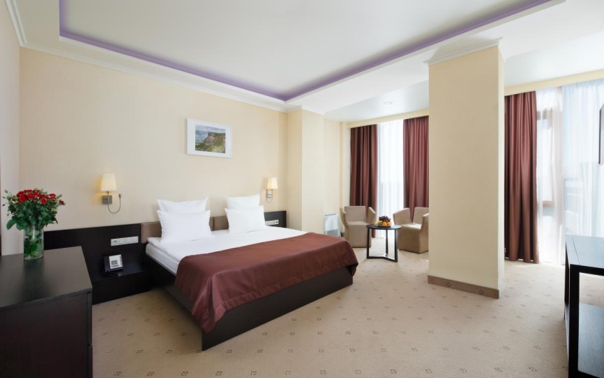 Студия 2-местный 1-комнатный номер *  - 1