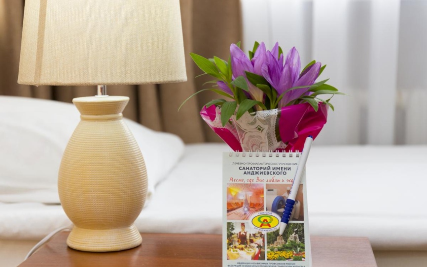 2 категория 2-местный 2 категория 1-комнатный корпус 3 (2к2м1 корпус 3) *  - 3