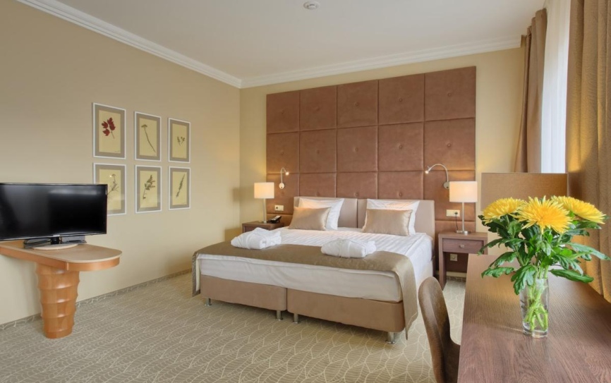 Делюкс 1-комнатный 2-местный корпус А,Б (41 кв. м) *  - 1