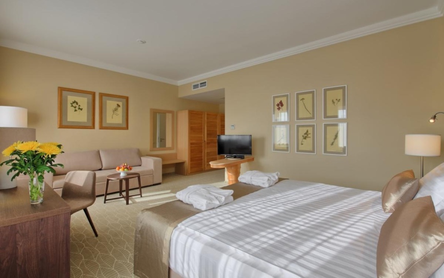 Делюкс 1-комнатный 2-местный корпус А,Б (41 кв. м) *  - 3