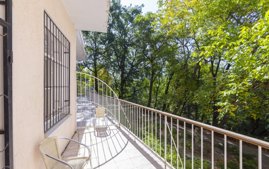 Полулюкс 2-местный 1-комнатный с балконом  (Пл2м1к2) *  - 3