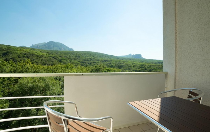 Стандартный 2-местный 1-комнатный номер в центральном корпусе *  - 2