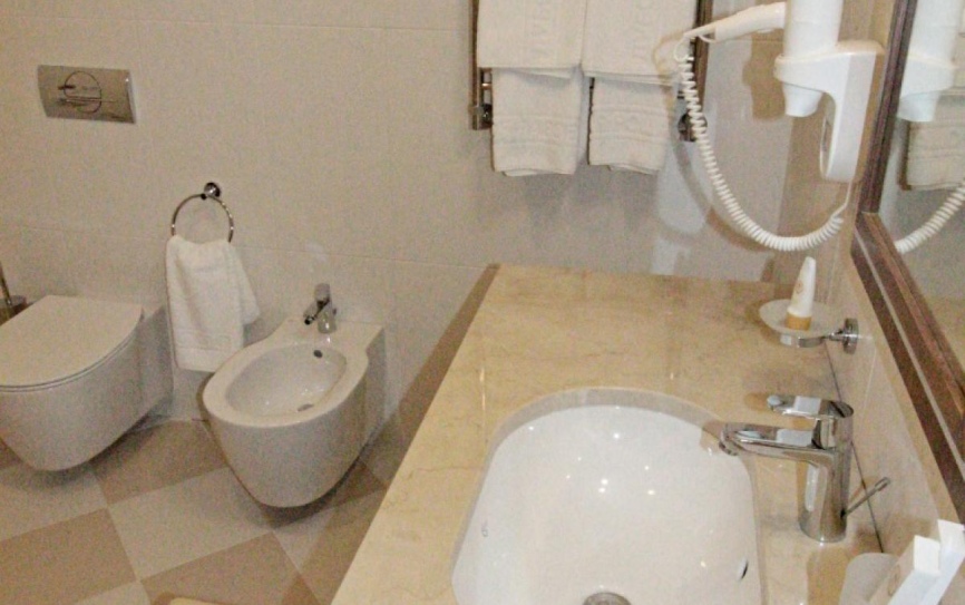 Стандарт 2-местный 1 комнатный Стандарт корпус Люкс *  - 3