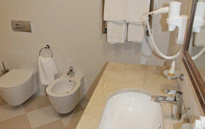 Стандарт 1-местный 1 комнатный Стандарт корпус Люкс *  - 2